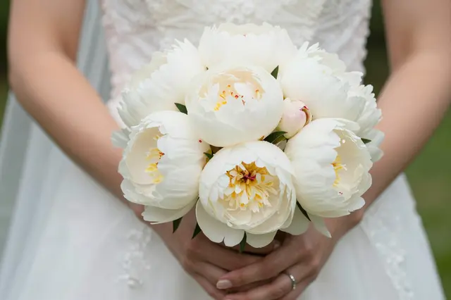 Close-up of a bride's clasped hands holding a full bouquet of creamy white peonies
