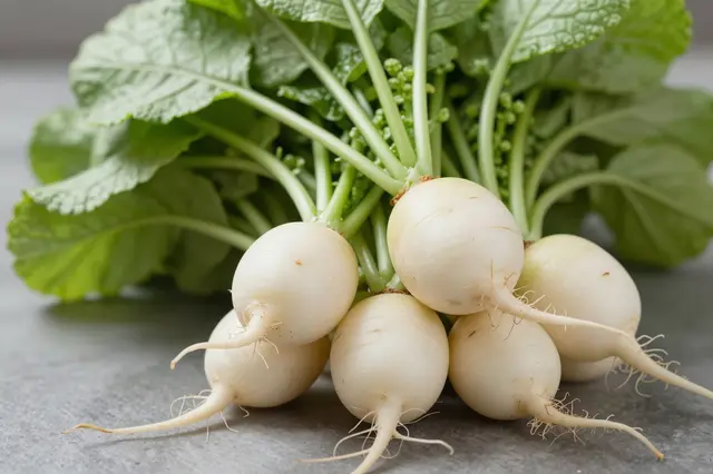 A bunch of fresh white radishes with lush green leafy tops rests on a gray matte surface.