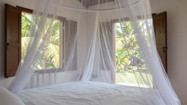 Canopy mosquito net drapes over a bed beside open wooden shutters looking out to a palm garden at midday