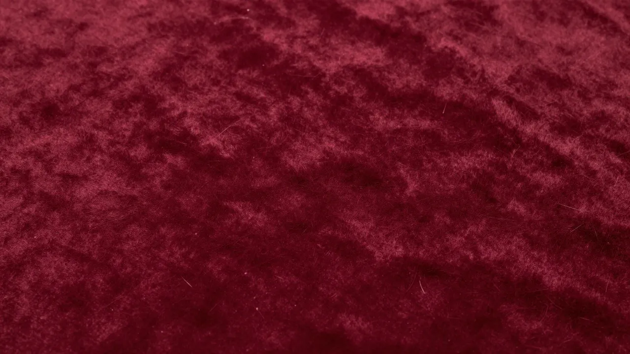 Full frame close-up of soft burgundy velvet fabric with subtle brushed nap variations