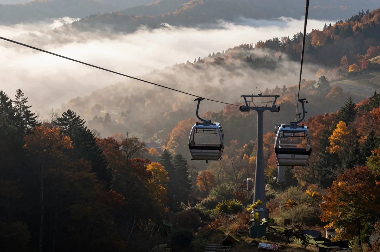 Gondola cable cars run above a fog-filled autumn mountain valley at morning