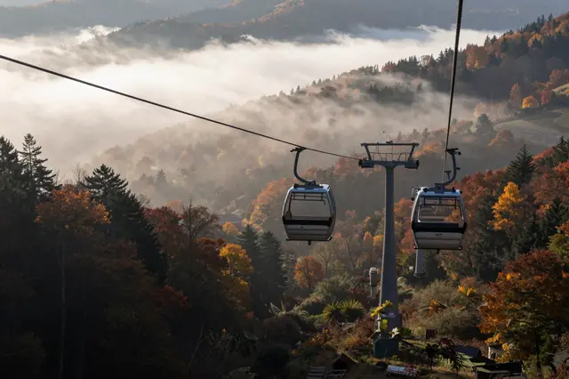 Gondola cable cars run above a fog-filled autumn mountain valley at morning