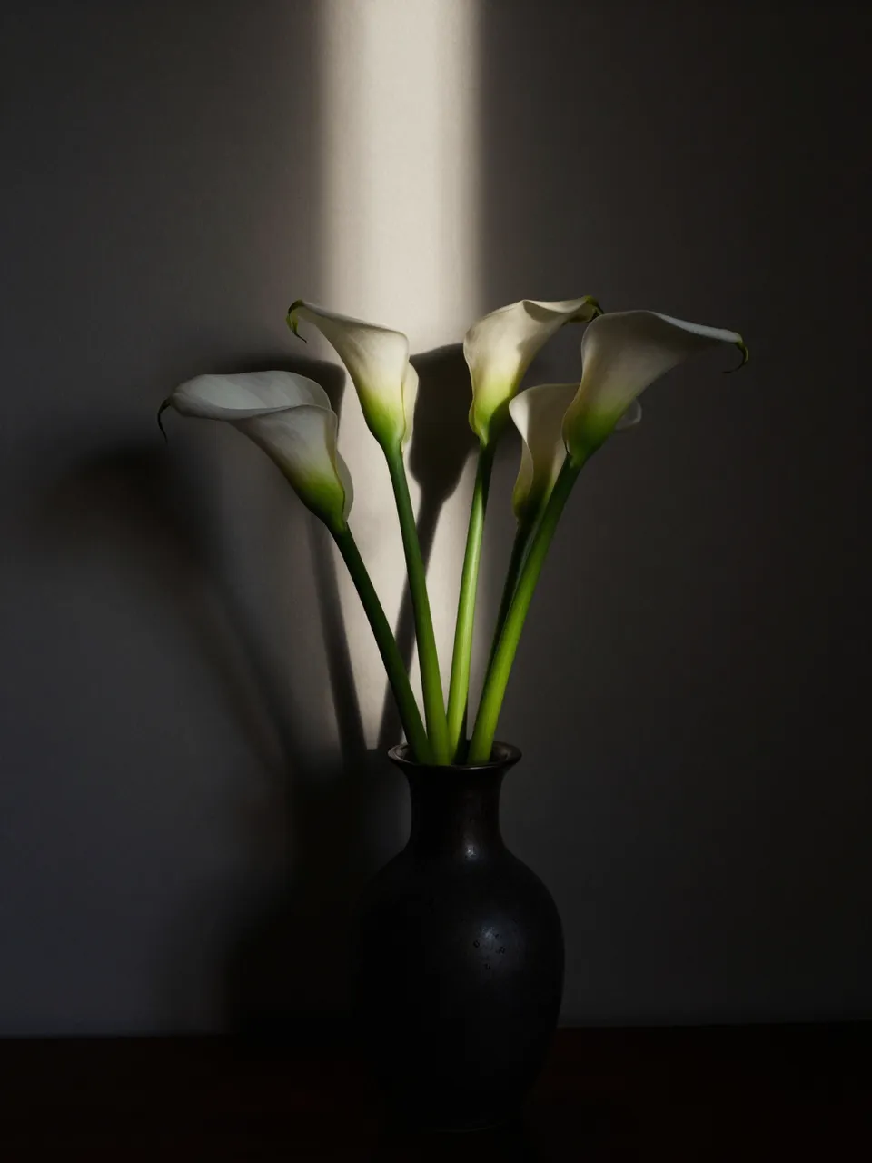 White calla lilies in a dark vase are lit by a single narrow vertical beam of light against a dim wall