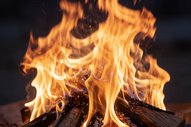 Swirling bright orange campfire flames rise over burning charred logs against a dark nighttime background