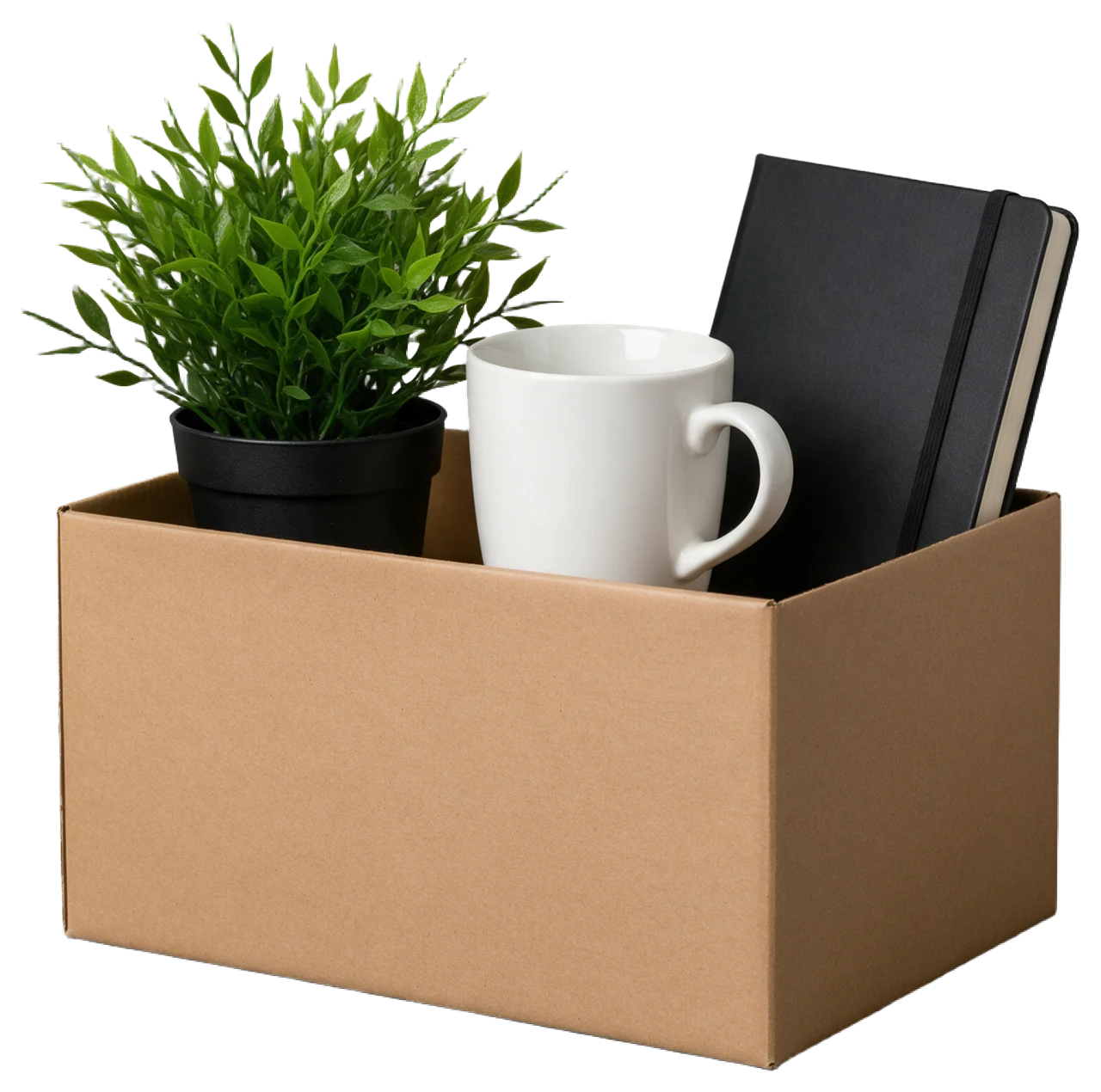 Plain brown cardboard box holding a potted plant, white mug, and closed black notebook.