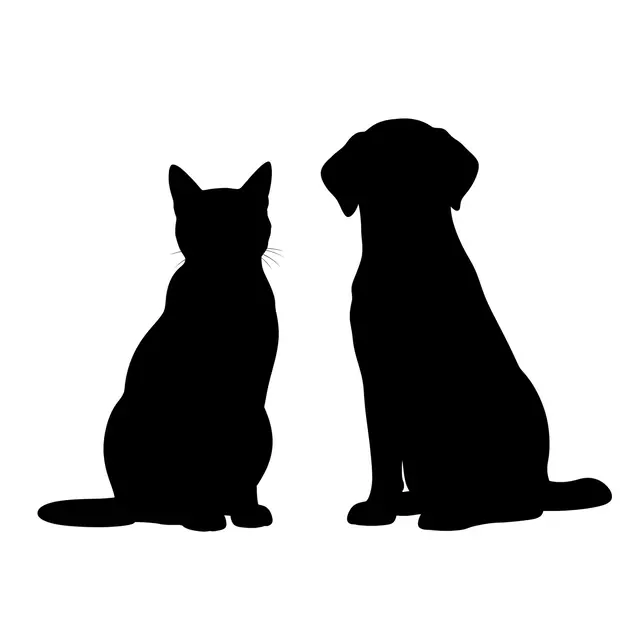 Solid black silhouettes of a sitting cat and dog side by side on a plain white background
