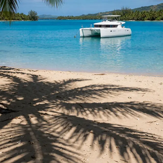A white catamaran rests anchored in turquoise lagoon water, framed by palm shadows on a sandy beach.