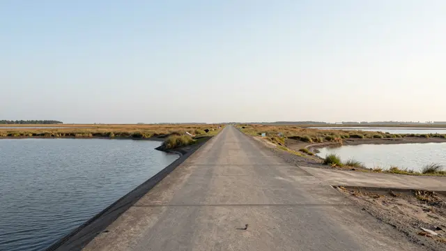 Long straight concrete causeway stretches through a tidal salt marsh under a pale soft morning sky