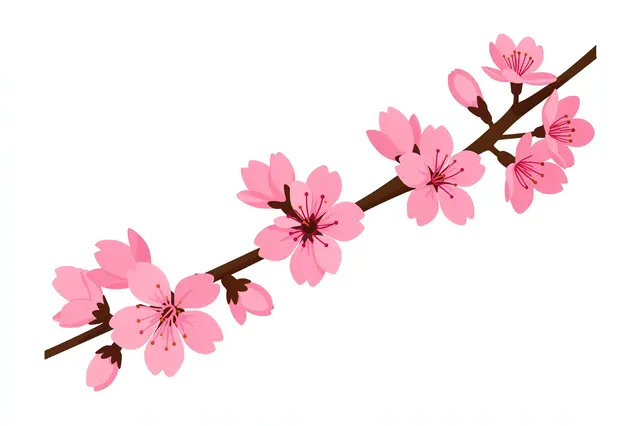 Flat clipart of a cherry blossom branch with pink five-petal flowers isolated on a plain white background