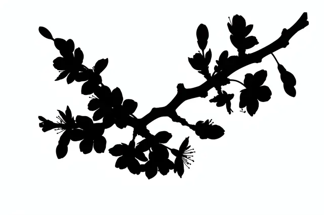 Solid black silhouette of a cherry blossom branch with open flowers and buds on a plain white background