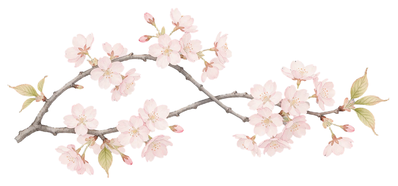 Watercolor illustration of crossing pale pink cherry blossom branches with green leaves and buds