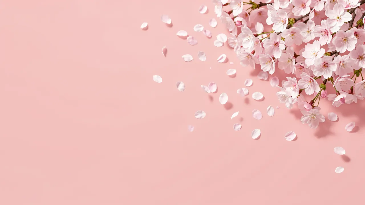 Delicate cherry blossom branches and drifting fallen petals sit on the upper right of a smooth blush pink background with