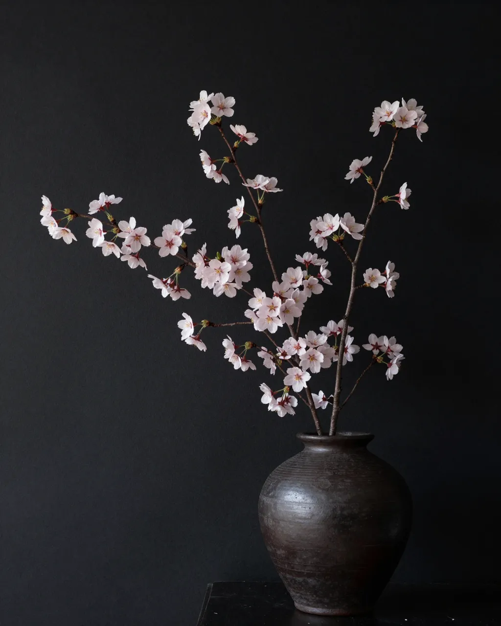 Pale pink cherry blossom branches arranged in a dark stoneware vase against a plain black wall