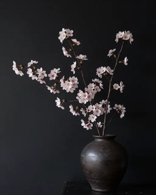 Pale pink cherry blossom branches arranged in a dark stoneware vase against a plain black wall