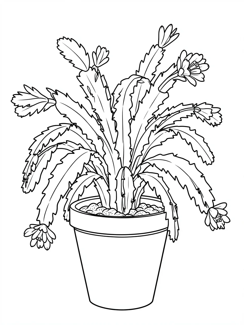 Clean black and white line art of a trailing flowering christmas cactus in a plain pot on a white background
