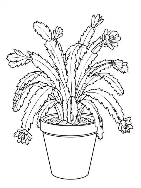 Clean black and white line art of a trailing flowering christmas cactus in a plain pot on a white background