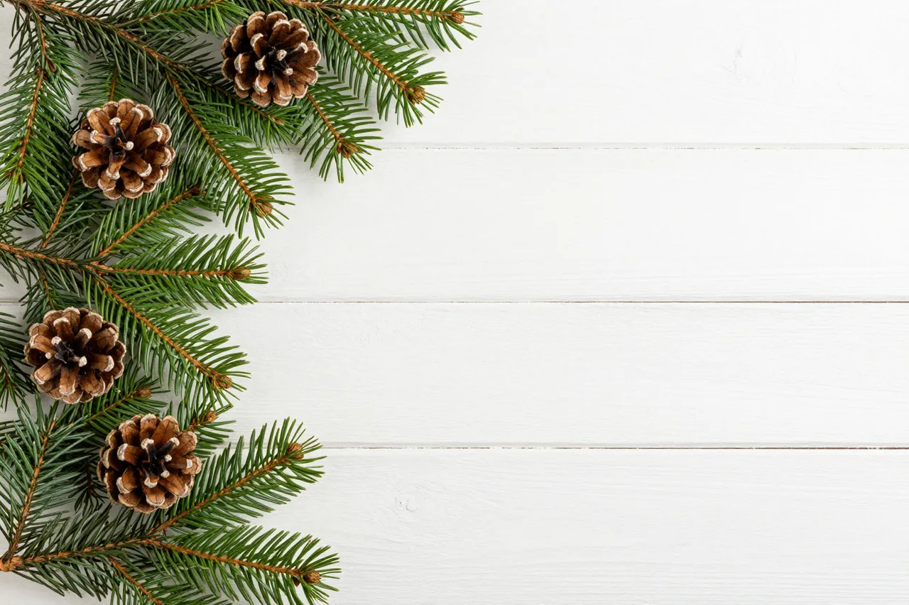 Fresh fir branches with pinecones arranged along the left edge of a white painted wood surface, with empty copy space on the