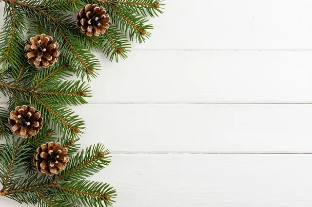 Fresh fir branches with pinecones arranged along the left edge of a white painted wood surface, with empty copy space on the