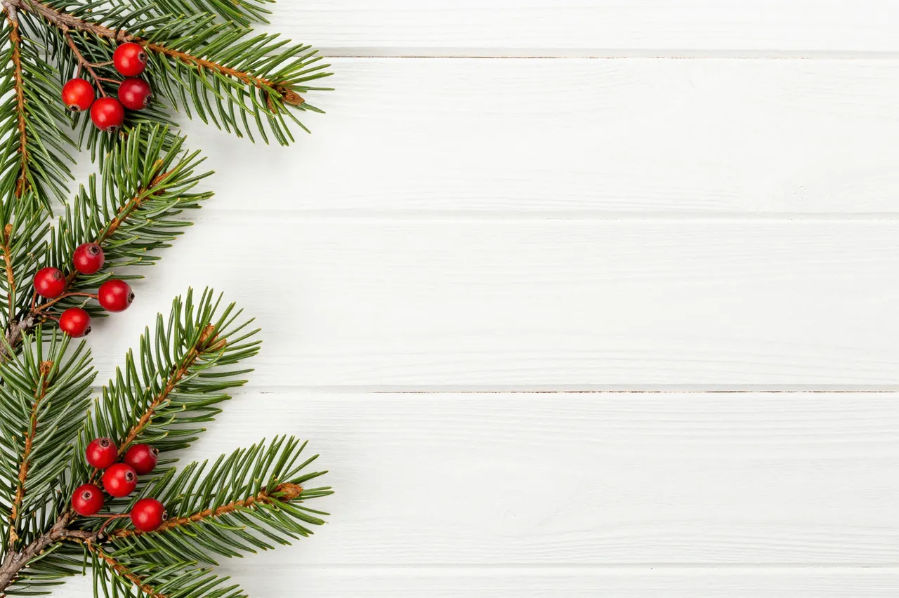Pine sprigs with bright red berries sit in the top left corner of a white wooden planked backdrop with empty copy space
