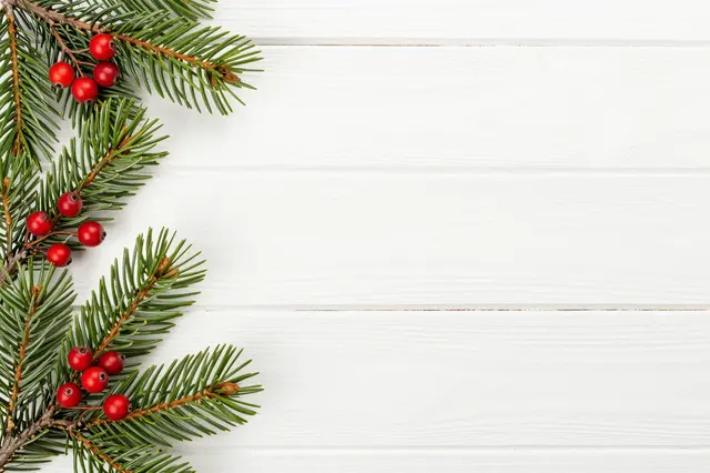 Pine sprigs with bright red berries sit in the top left corner of a white wooden planked backdrop with empty copy space
