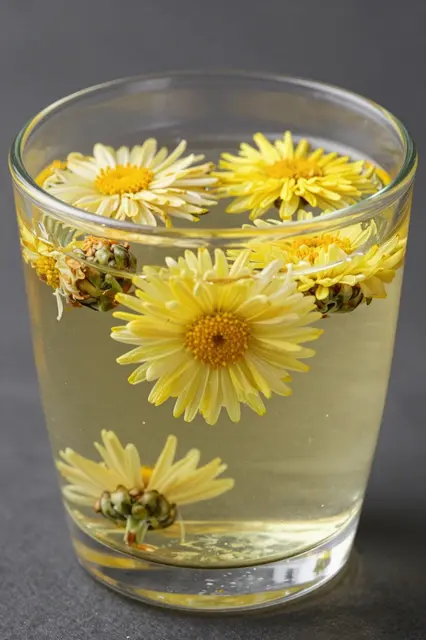 Clear glass filled with pale chrysanthemum tea and floating whole yellow chrysanthemum flowers against a dark gray