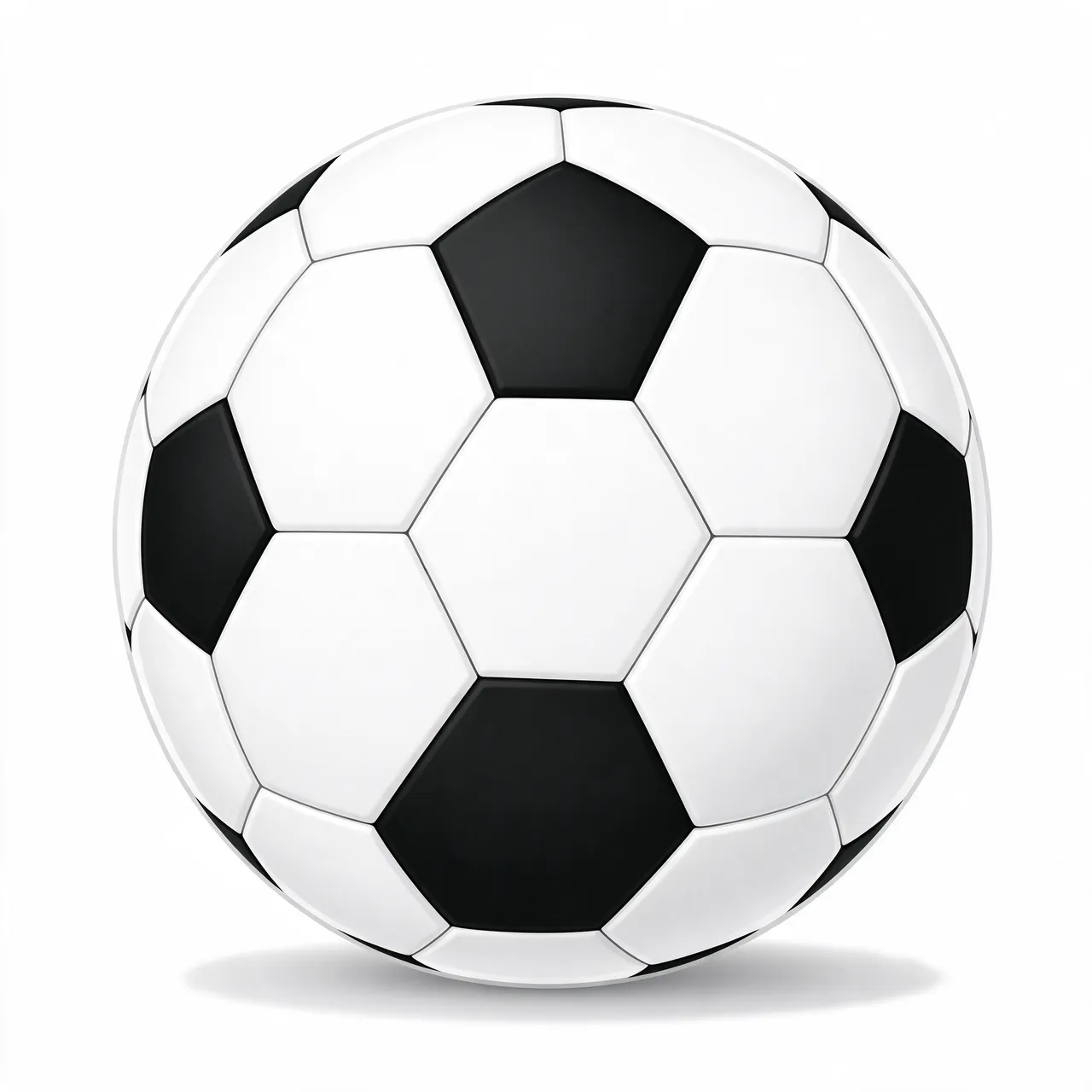 A traditional paneled black and white soccer ball sits with a soft shadow beneath it on a plain white background.