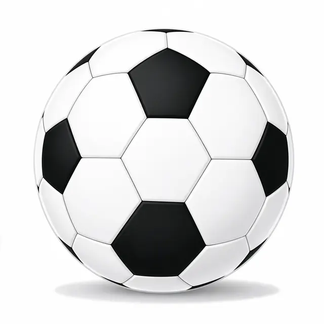 A traditional paneled black and white soccer ball sits with a soft shadow beneath it on a plain white background.