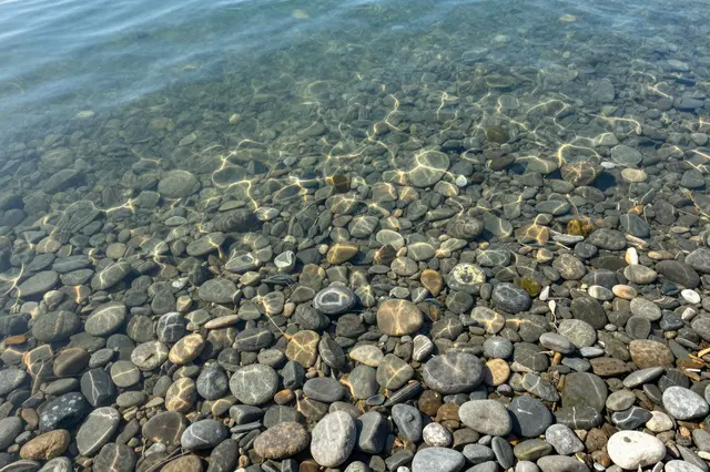 Sunlit crystal clear lake water reveals smooth rounded pebbles on the shallow lakebed.