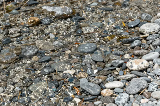 Crystal clear shallow mountain stream water flows over smooth varied pebbles and small dry twigs.
