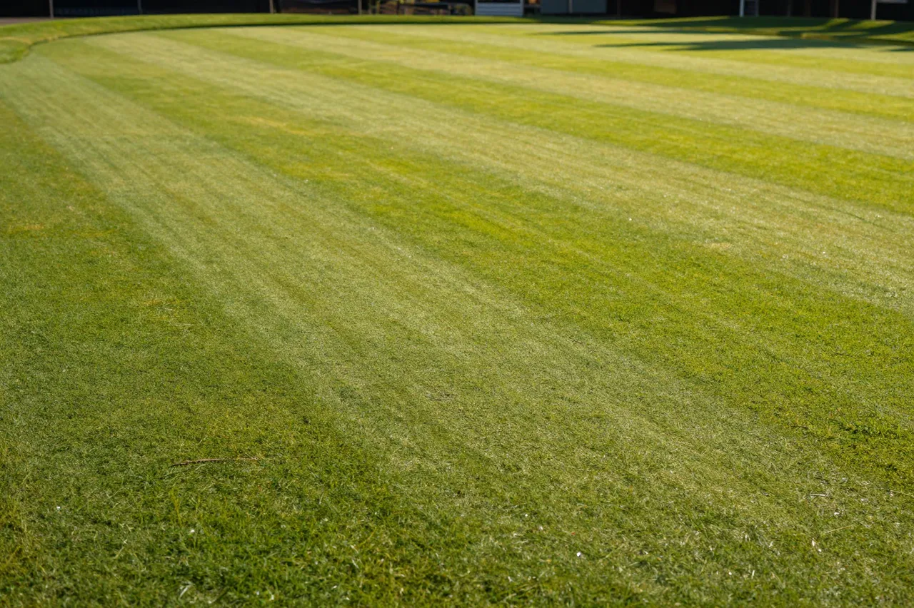 Empty perfectly striped clipped lawn bowling green bathed in warm golden hour sunlight