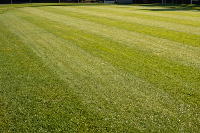 Empty perfectly striped clipped lawn bowling green bathed in warm golden hour sunlight