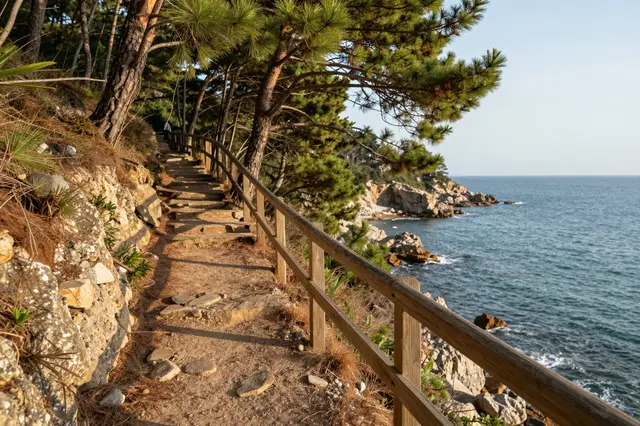 Wooden-railed stone cliff path winds through pine forest above the sunlit blue sea