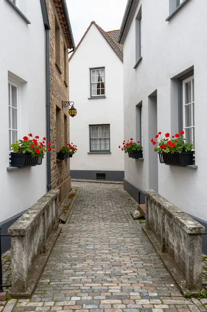 Narrow cobblestone residential alley lined with flower boxes of red geraniums between old town buildings