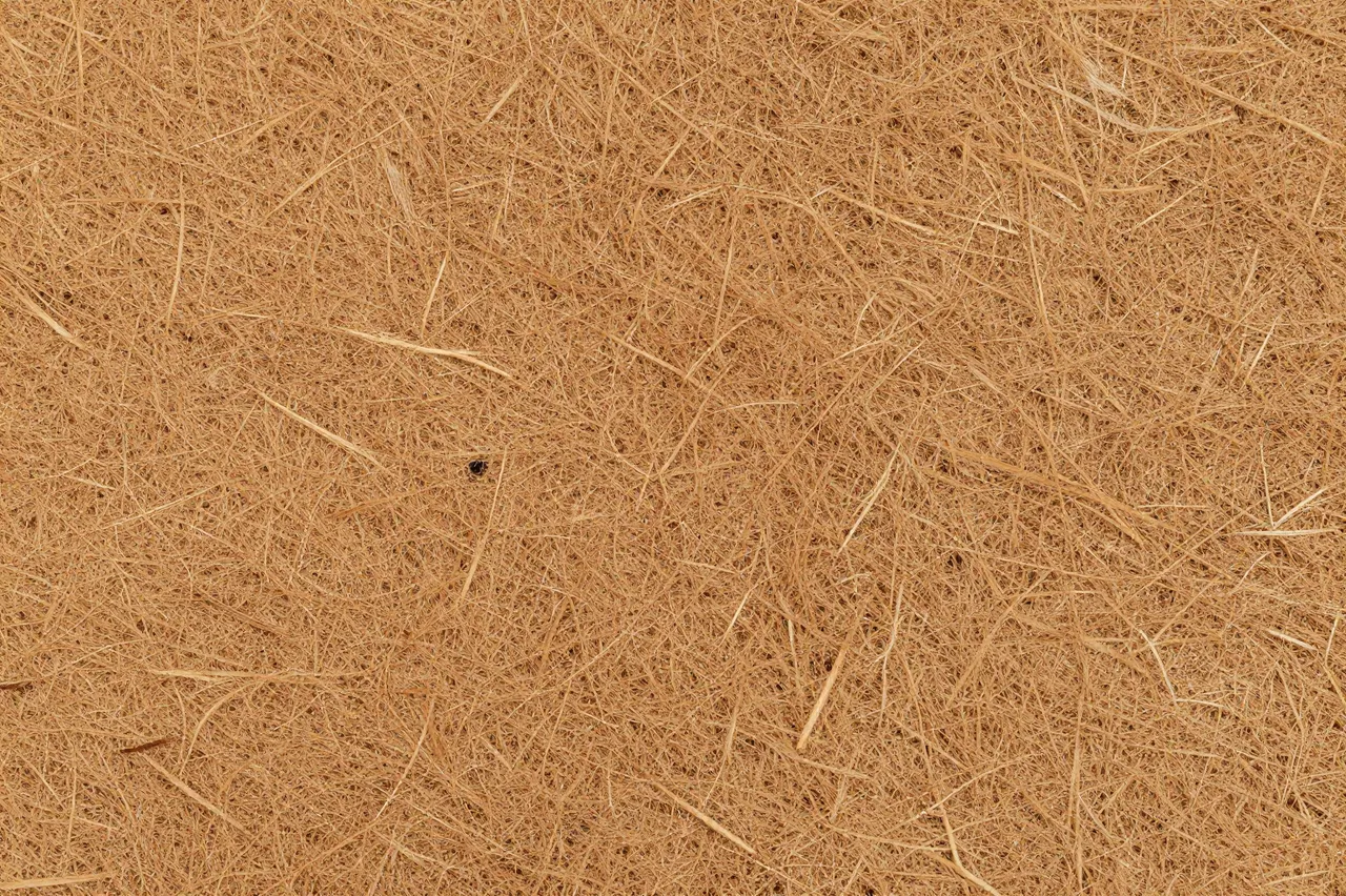 Full frame close-up of dense, coarse brown coir fiber mat with flat even lighting