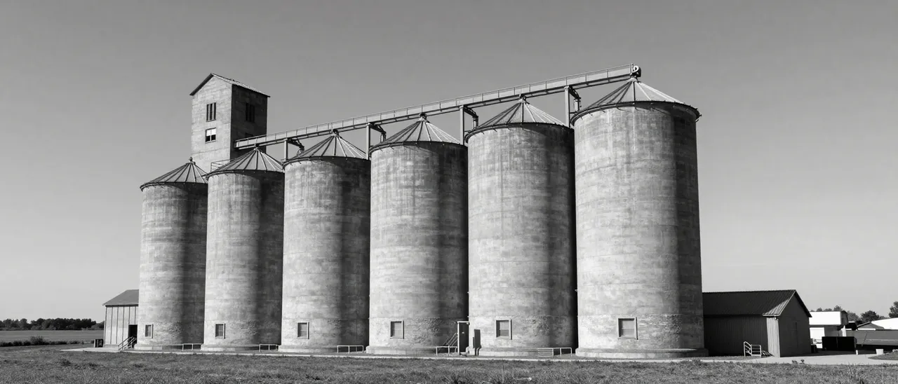 Row of tall weathered concrete grain silos stands on flat farmland under an open sky in black and white.