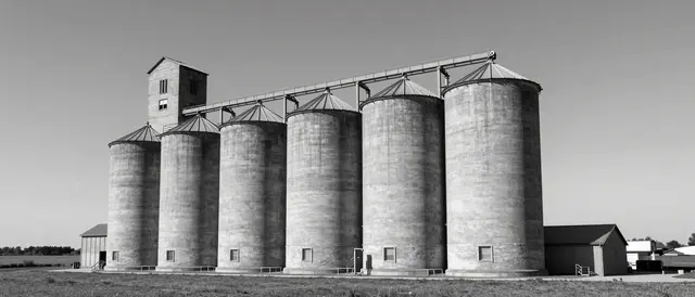 Row of tall weathered concrete grain silos stands on flat farmland under an open sky in black and white.
