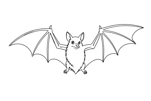 A clean single line drawing of a bat with fully outstretched wings on a plain white background