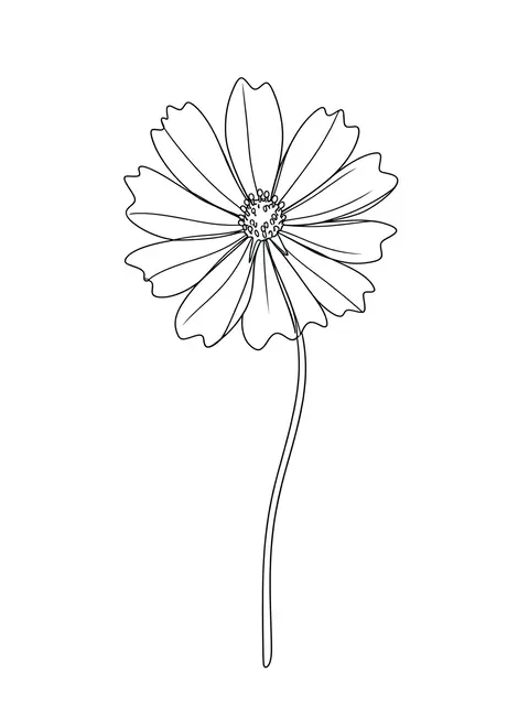 Minimal single black line drawing of a swaying cosmos flower on a thin stem against a plain white background
