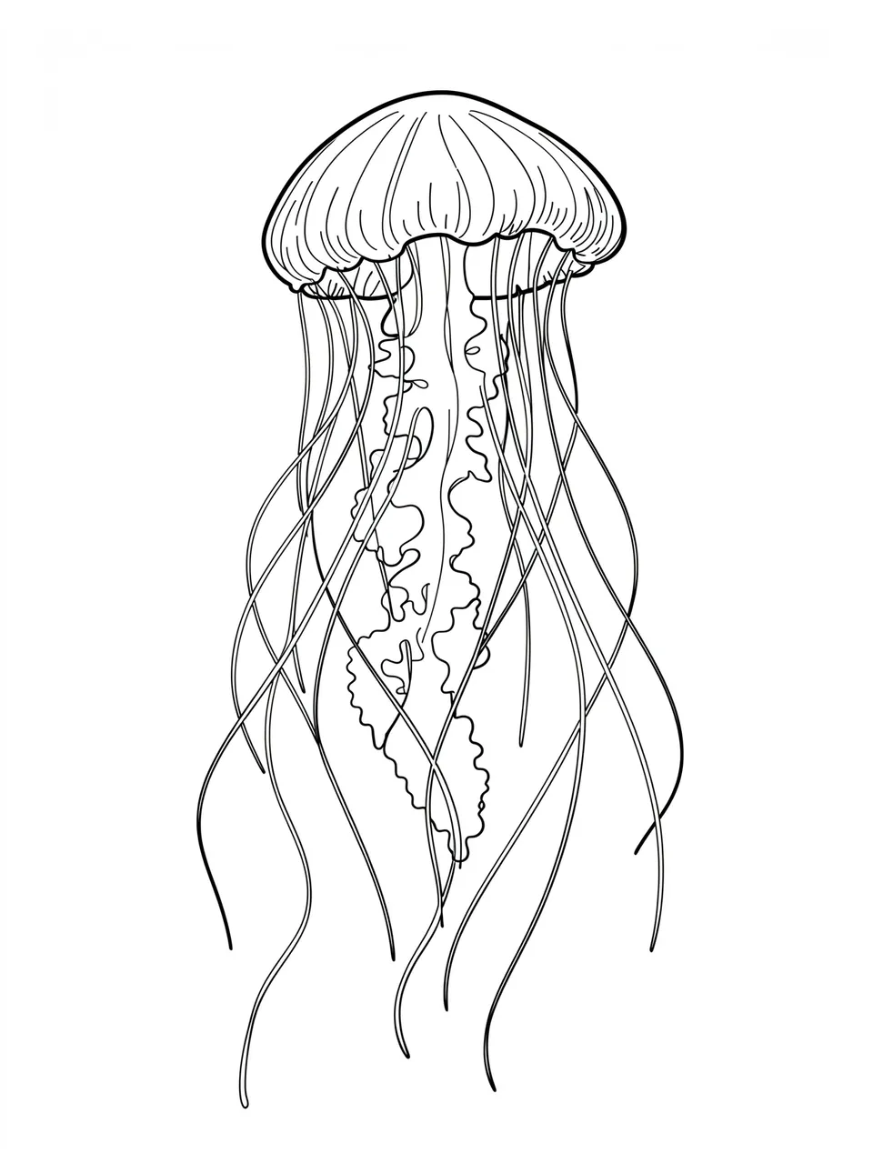 Black line art of a jellyfish with long trailing tentacles on a plain white background
