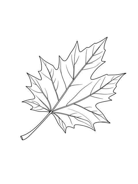 Single continuous line drawing of a maple leaf set against a plain white background