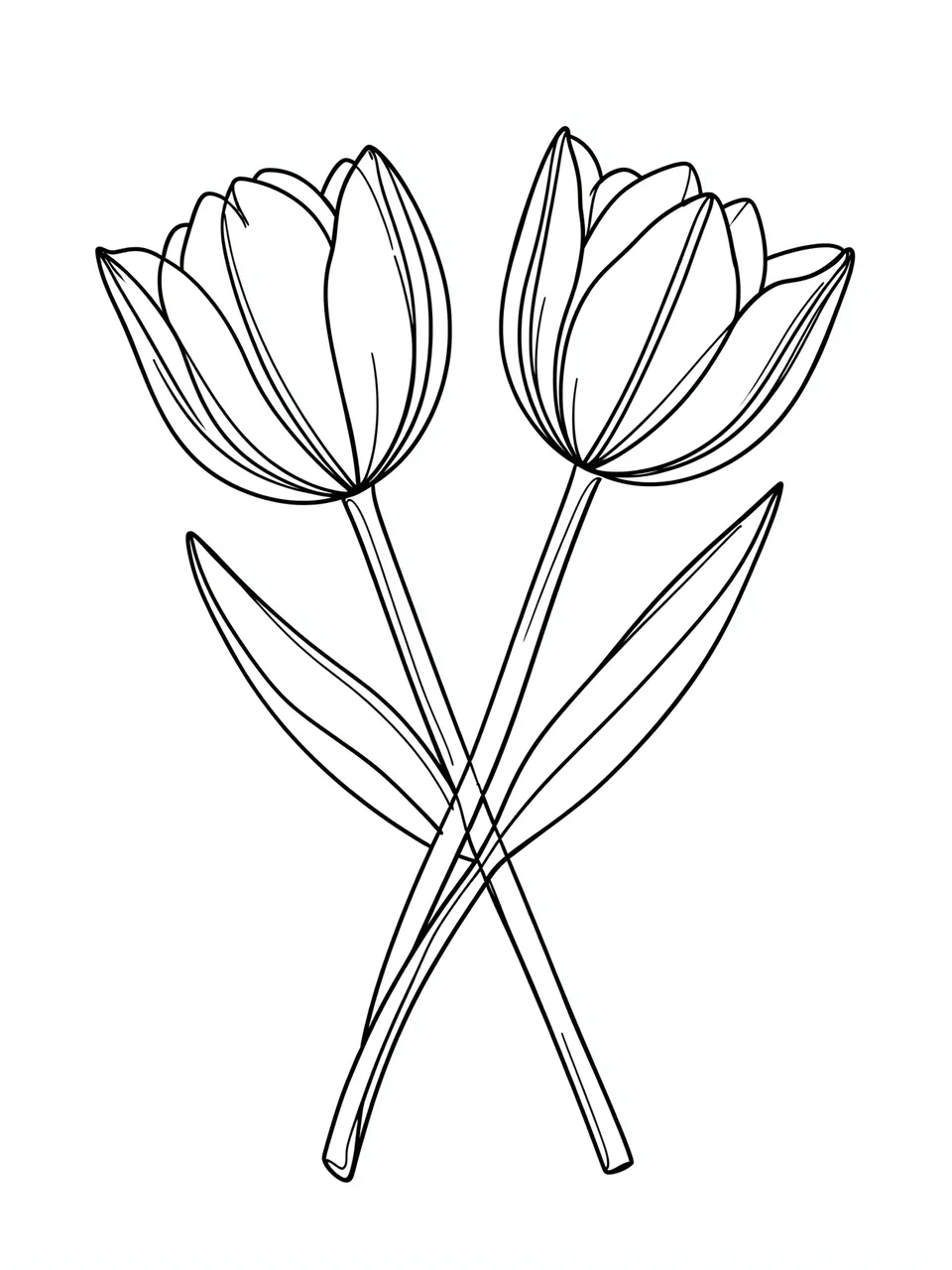 Black continuous line illustration of two tulips with crossing stems on a plain white background
