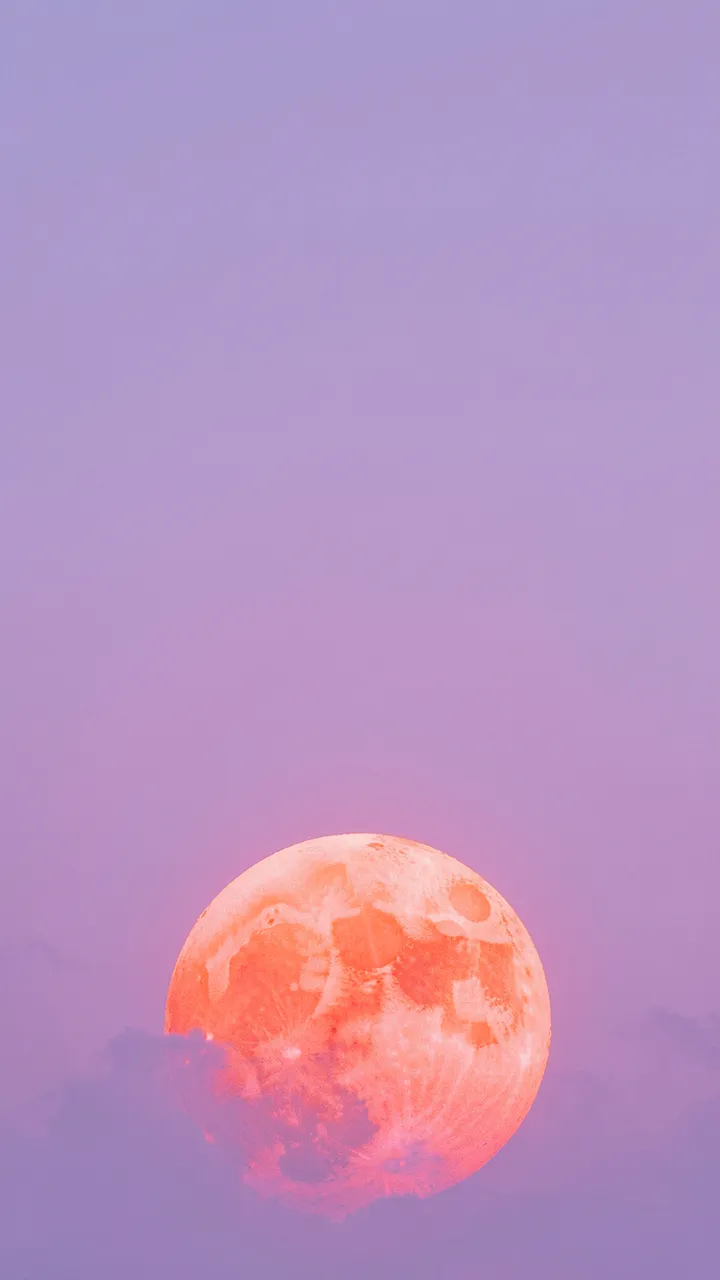 A large grainy coral full moon sits low against a soft gradient lavender sky with empty upper space.