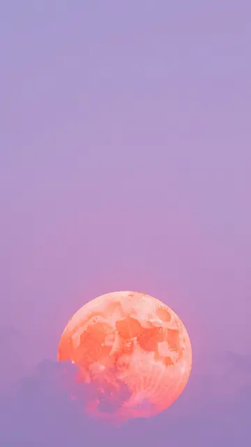 A large grainy coral full moon sits low against a soft gradient lavender sky with empty upper space.