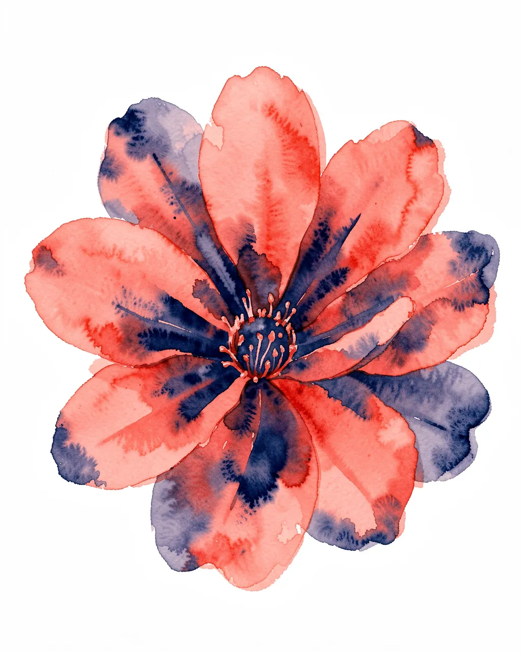 A soft watercolor floral bloom in coral and navy shades against a plain white background