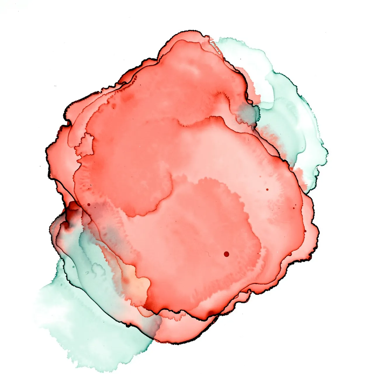 Abstract flowing alcohol ink in coral and seafoam green with thin dark outlines on a plain white background