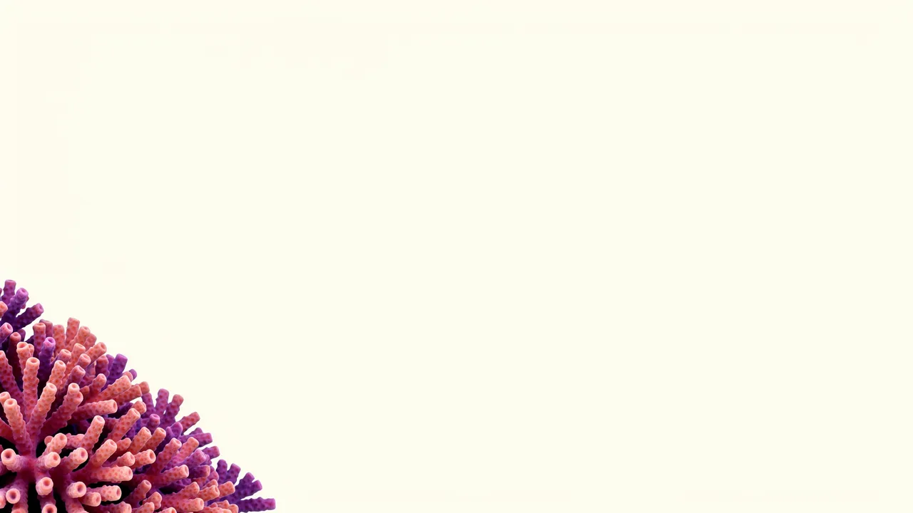 Textured pink and purple coral cluster sits in the bottom left of a pale off-white empty background