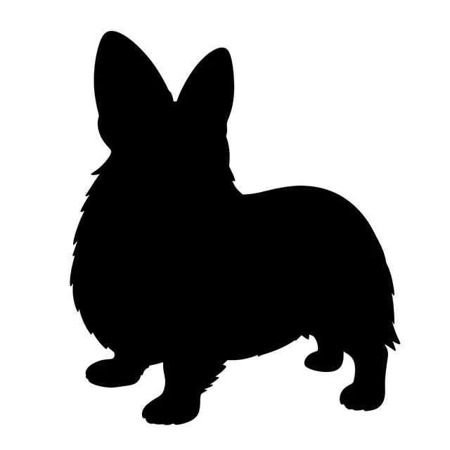 Solid black corgi silhouette with upright ears on a plain white background