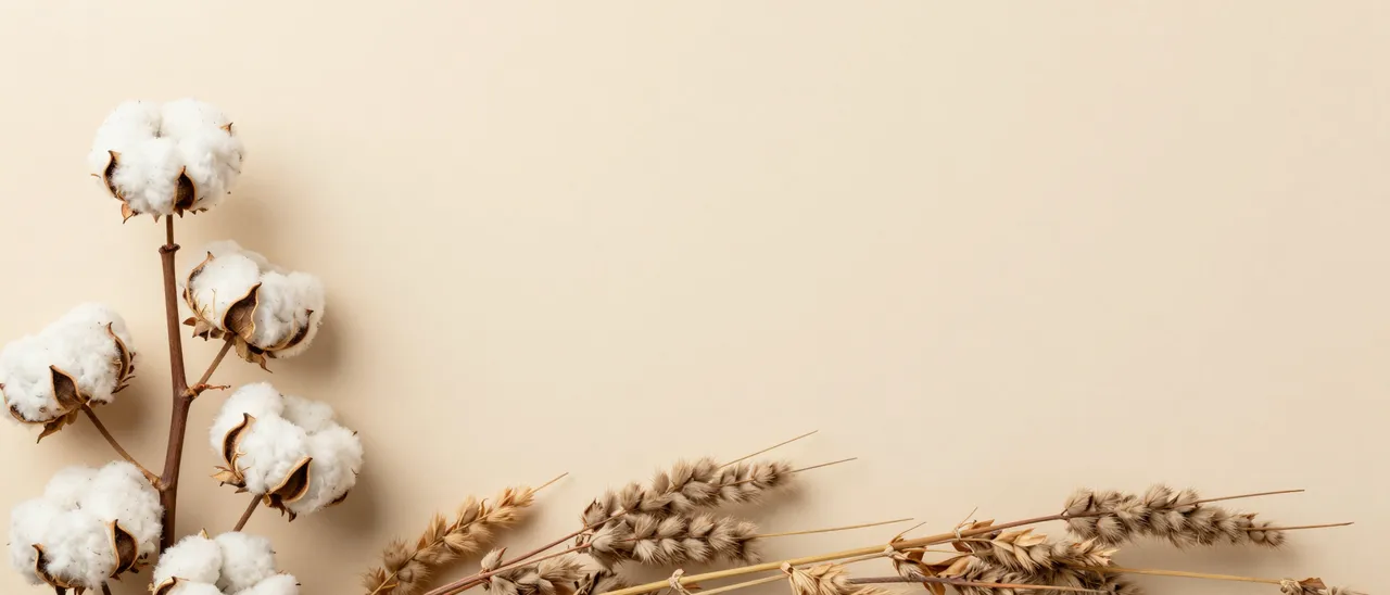 Dried cotton bolls and ornamental grasses arranged along the left edge of a smooth beige background with empty copy space