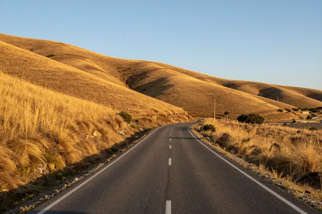 Paved rural road winds through sunlit golden grassy hills under a clear pale sky at golden hour
