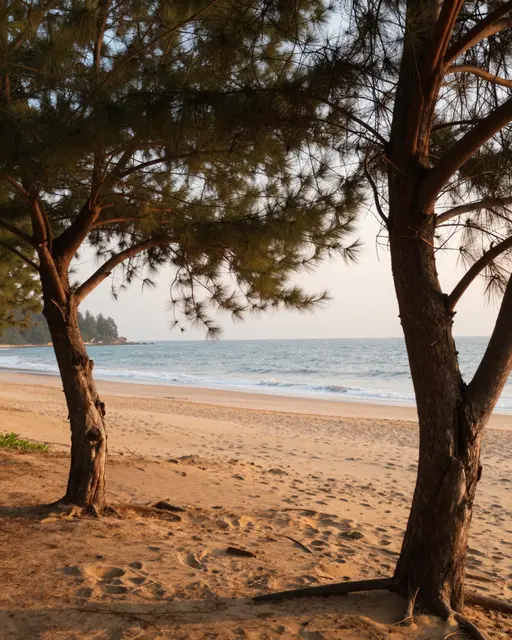 A quiet sandy beach cove viewed through a gap between two wind-bent pine trees at sunrise